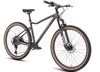 Превью  Велосипед HAGEN Q10 Black Gem (2025)